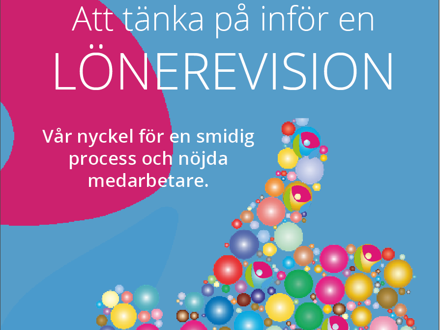 lönerevision